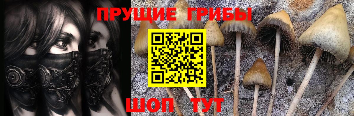 Конопля Моздок