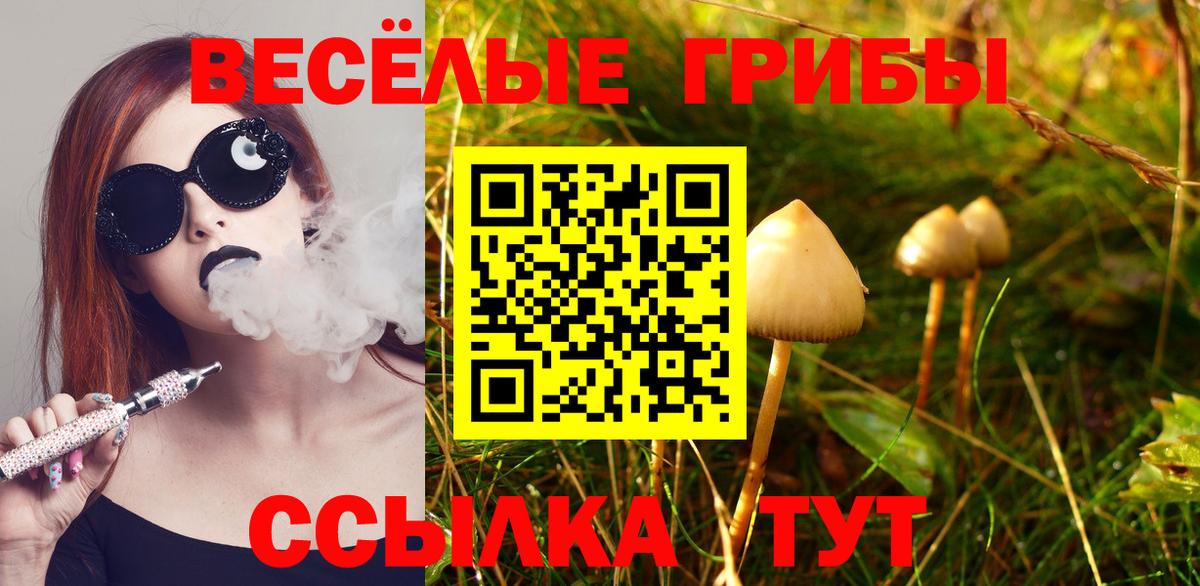 купить  сайты  Вход с VPN  Моздок  Галлюциногенные грибы Psilocybine cubensis 